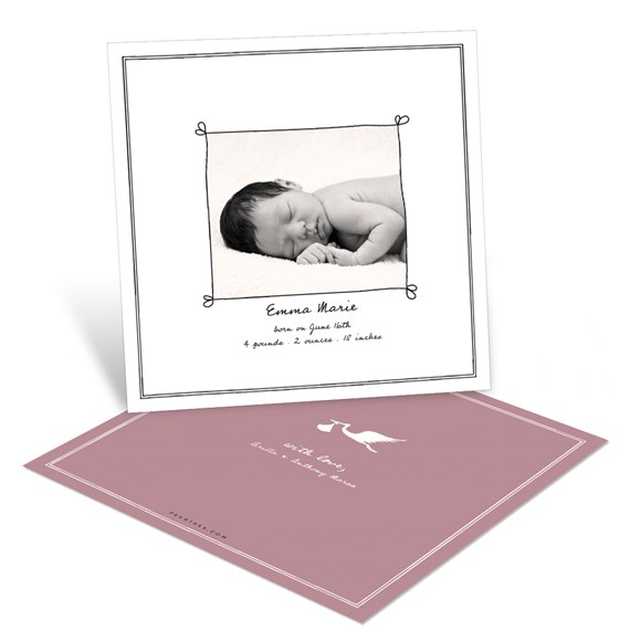 Special Delivery - Birth Announcements