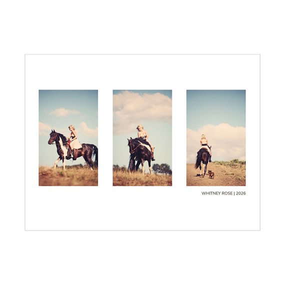 photo collage with horse and rider images