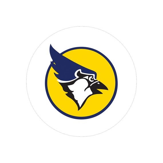 blue jay bird logo on yellow background