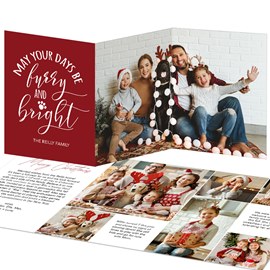 Furry and Bright Days - Christmas Card