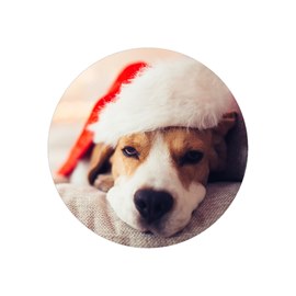Holiday Envelope Seals - Christmas Cat & Dog – Gina B Designs