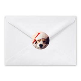 Best Photo - Envelope Seals