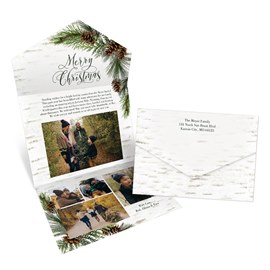 Festive Birch - Seal & Send Christmas Card