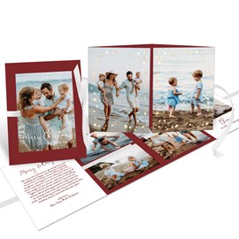 Framed in Lights - Christmas Card