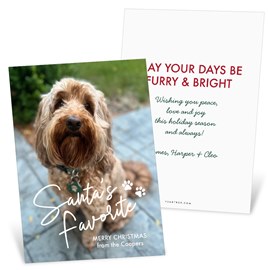 Santa's Favorite Pet - Christmas Card