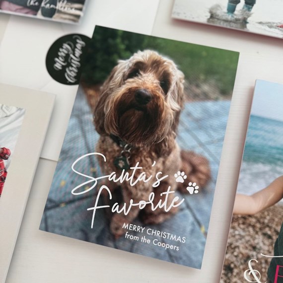 Christmas card with dog photo placeholder, text, and paw prints