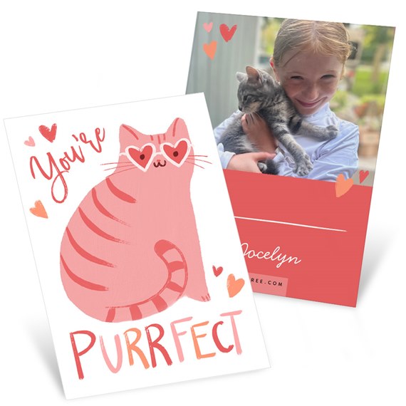 illustrated cat card with photo placeholder