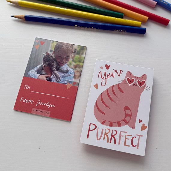 valentine cards with photo area and cat illustration