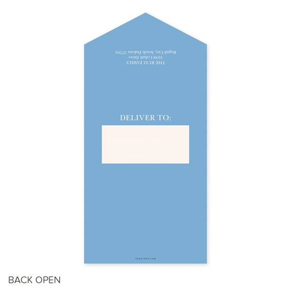 blue envelope with address area