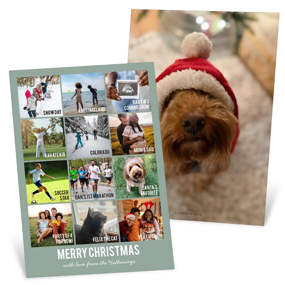 Holiday photo cards: dog in red Santa hat and a multi-photo collage with 'Merry Christmas' text