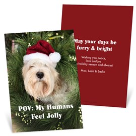 Pet POV - Christmas Card