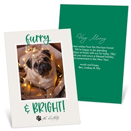 Bright and Furry - Christmas Card