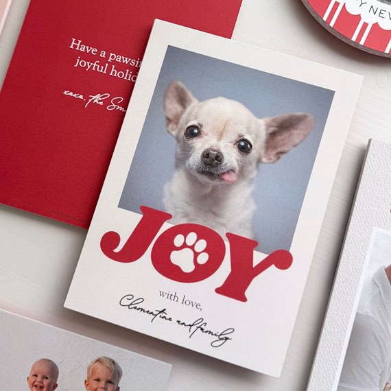 photo placeholder with joy text and paw print