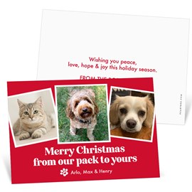 From Our Pack - Christmas Card