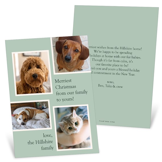 Folded holiday card with four pet photos (three dogs, one cat) in a collage on a light green background