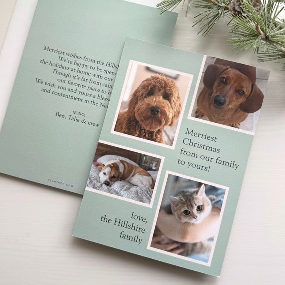 Folded Christmas photo card with a four-panel pet collage (three dogs, one cat) on a mint green background with white borders and a holiday greeting