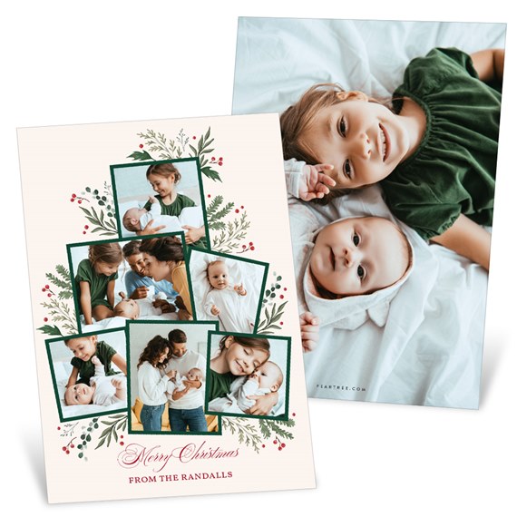 Christmas card with botanical collage and photo placeholders