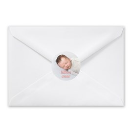 Introduction - Envelope Seals