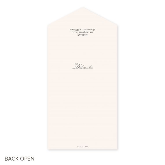 cream envelope with pointed flap and text area
