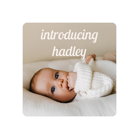 photo placeholder with text area for introducing hadley