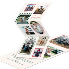 Festive Frames - Christmas Card