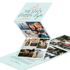 Merry Little Life - Christmas Card