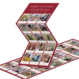 Snapshots of a Year - Christmas Card