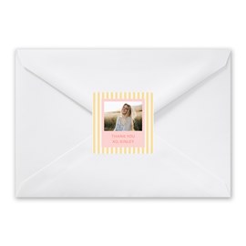 Picture Perfect - Envelope Seals