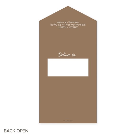 brown envelope with address area