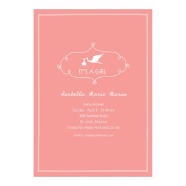 Special Delivery Girl - Baby Shower Invitations
