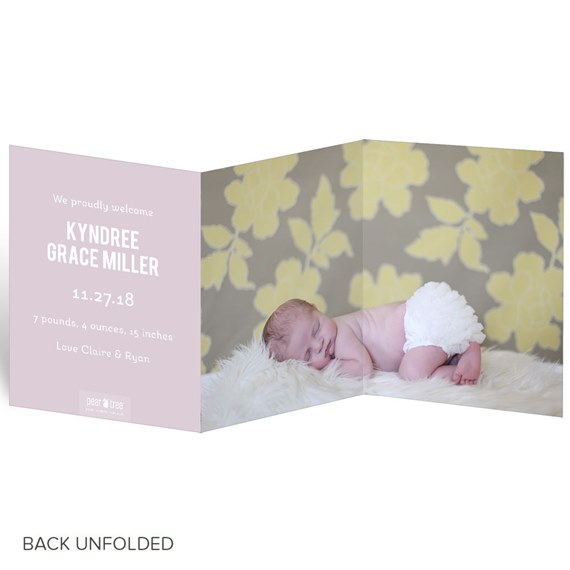 Special Delivery Girl - Birth Announcements