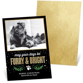 Furry and Bright - Christmas Card