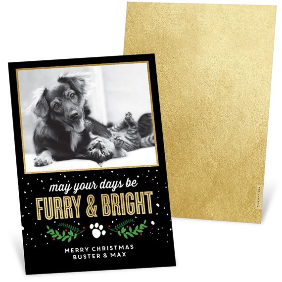 Furry and Bright - Christmas Card