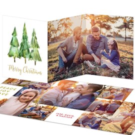 Three Pines - Christmas Card