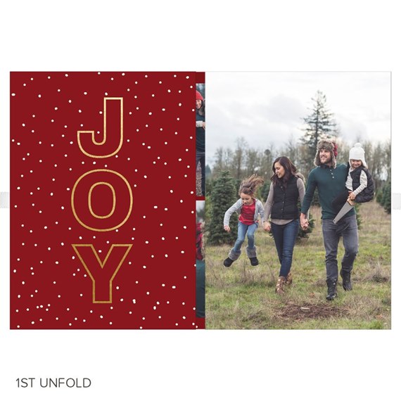 Joy Sprinkles - Holiday Card